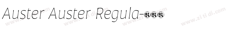 Auster Auster Regula字体转换